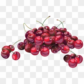 Free Cherries, HD Png Download - cherry png