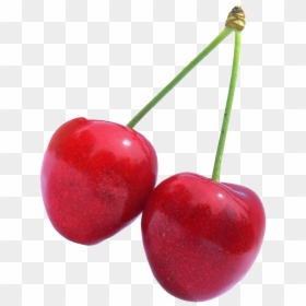 Bright Cherries, HD Png Download - cherry png