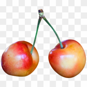 Rainier Cherry Png, Transparent Png - cherry png