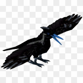 American Crow, HD Png Download - crow png
