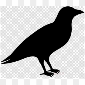 Transparent Background Price Tag Png, Png Download - crow png