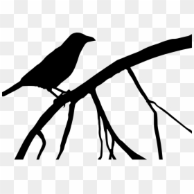 Crow On Tree Silhouette, HD Png Download - crow png