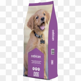 Companion Dog, HD Png Download - puppy png