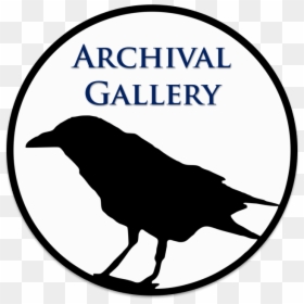 Mediapart, HD Png Download - crow png
