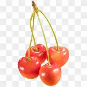 Cherry Png, Transparent Png - cherry png