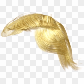 Hair Trump Png, Transparent Png - trump hair png