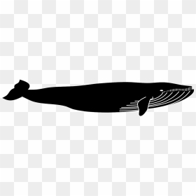 Blue Whale Silhouette Black, HD Png Download - whale png