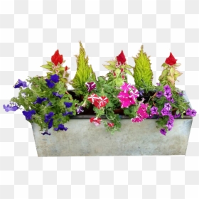 Transparent Background Flower Pots Png, Png Download - garden png