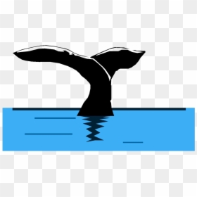 Clip Art, HD Png Download - whale png
