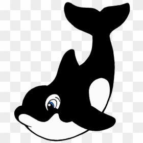 Cartoon Killer Whale Drawing, HD Png Download - whale png