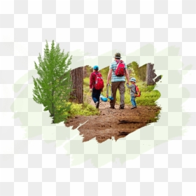 Christmas Tree, HD Png Download - garden png