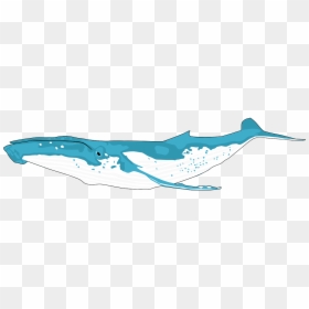 Humpback Whale Png Outline, Transparent Png - whale png