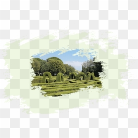Grass, HD Png Download - garden png