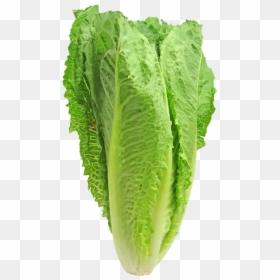 Romaine Lettuce Vs Guns, HD Png Download - salad png
