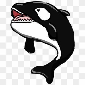 Killer Whale Png Small, Transparent Png - whale png