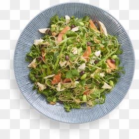 Harusame Glass Noodle Salad Wagamama, HD Png Download - salad png