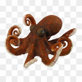 Pieuvre Jouet, HD Png Download - octopus png