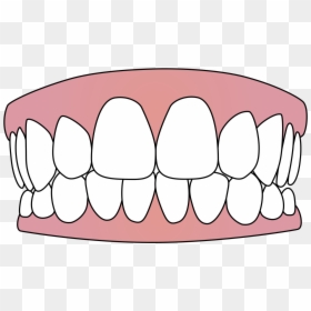 Clip Art Transparent Background Teeth, HD Png Download - tooth png