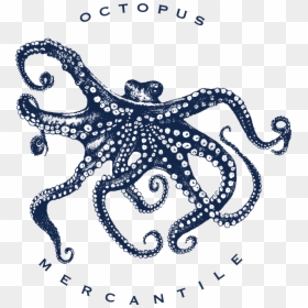 Illustration, HD Png Download - octopus png