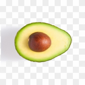 Avocado, HD Png Download - avocado png