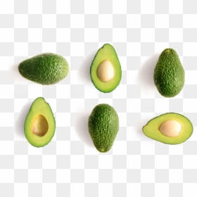 Avocado, HD Png Download - avocado png