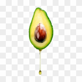 Avocado Oil Drip, HD Png Download - avocado png
