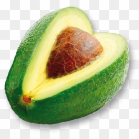 Avocado, HD Png Download - avocado png