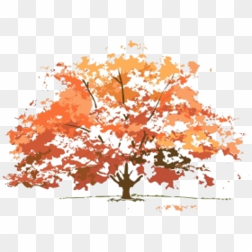 Trees Look In Different Seasons, HD Png Download - fall png
