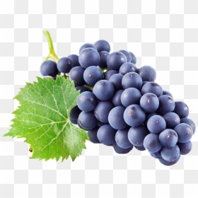 Transparent Background Grapes Png, Png Download - grapes png