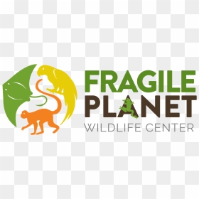 Graphic Design, HD Png Download - fragile png