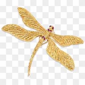 Fancy Vivid Yellow Diamond Dragonfly Brooch - Fred Leighton Butterfly Brooch, HD Png Download - dragon fly png