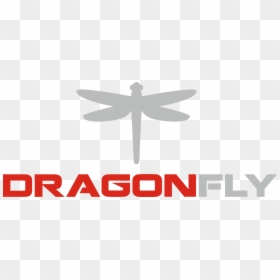 Transparent Dragonfly Png - Dragonfly, Png Download - dragon fly png