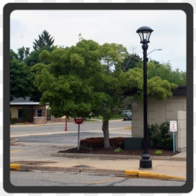 Logo - Curb, HD Png Download - light pole png