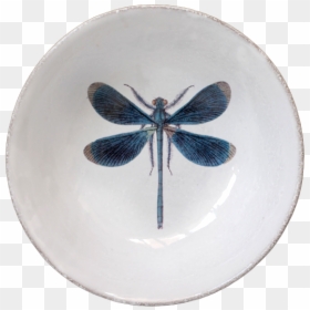 Dragonfly, HD Png Download - dragon fly png