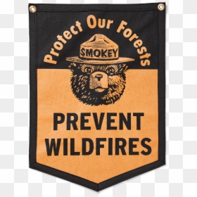 Smokey The Bear Png, Transparent Png - smokey png