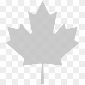 Clip Art Canadian Maple Leaf, HD Png Download - canada leaf png
