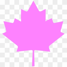 Big Canadian Maple Leaf, HD Png Download - canada leaf png