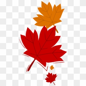 Maple Leaf, HD Png Download - canada leaf png