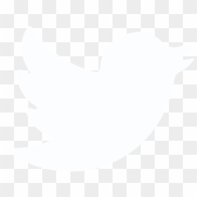 Twitter Government, HD Png Download - facebook instagram twitter icons png