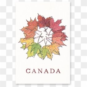 Maple Leaves Post-card - Postcard, HD Png Download - canada leaf png
