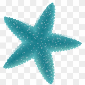 Blue Starfish Deep Ocean Decoration Vector Sea Clipart - Turkey's Erdogan Wins Presidential Election, HD Png Download - ocean clipart png