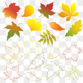 Transparent Fall Flower Clipart - Falling Leaves, HD Png Download - fall clipart png