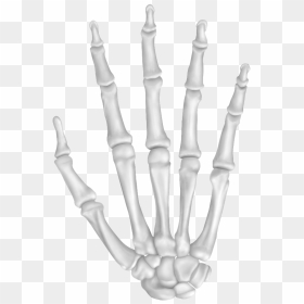 Bone Png Pic - Hand Bone, Transparent Png - bone.png
