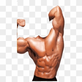 Body Builder Photo Suit, HD Png Download - arnold png