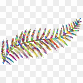 Prismatic Fern Leaf Silhouette By Karen Arnold Clip - Transparent Background Ferns Clipart, HD Png Download - arnold png