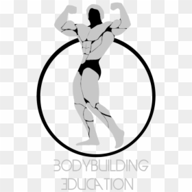 Arnold Schwarzenegger Bodybuilding Logo Clipart , Png - Arnold Schwarzenegger Bodybuilding Logo, Transparent Png - arnold png