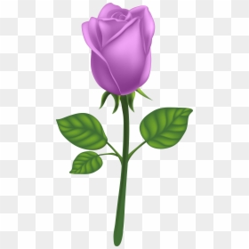 Purple Long Stem Rose Png Clipart , Png Download - Transparent Transparent Background Pink Rose Png, Png Download - long stem rose png
