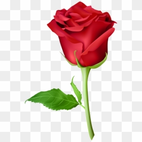 Transparent Long Stem Rose Clipart - Purple Rose Flower Png, Png Download - long stem rose png