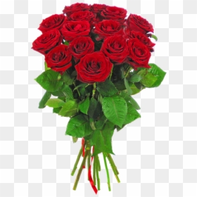Long Stem Rose Png , Png Download - Букет Красных Роз Пнг, Transparent Png - long stem rose png