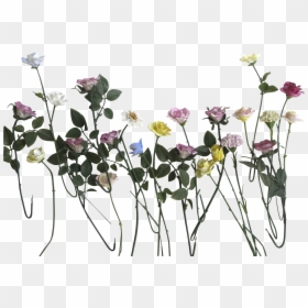 Flower Stems Png - Flowers With Stems Png, Transparent Png - long stem rose png